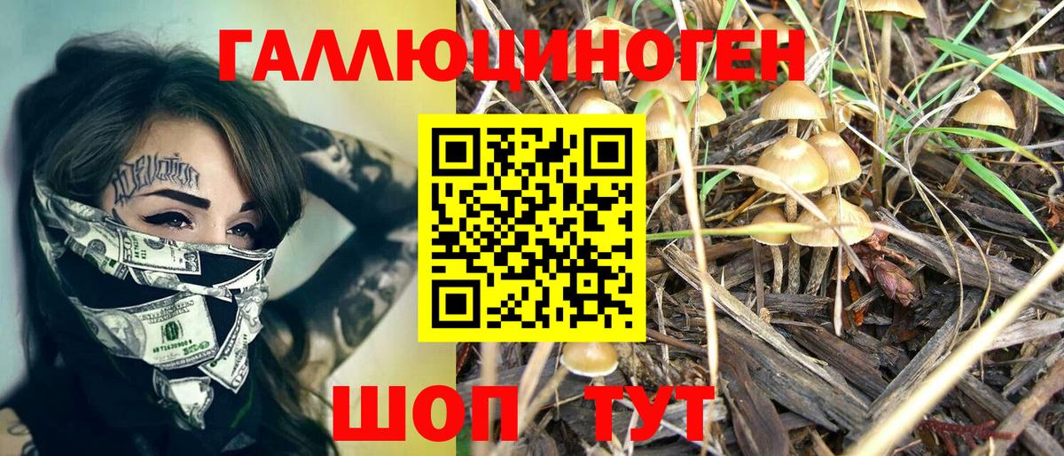 Галлюциногенные грибы GOLDEN TEACHER  Вход с VPN  Петропавловск-Камчатский 